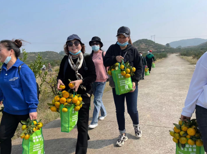 1635817839118097.png image.png