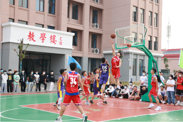 1668304213585208.png 8.png