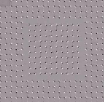 1684927401455323.jpg 1684927401455323.jpg